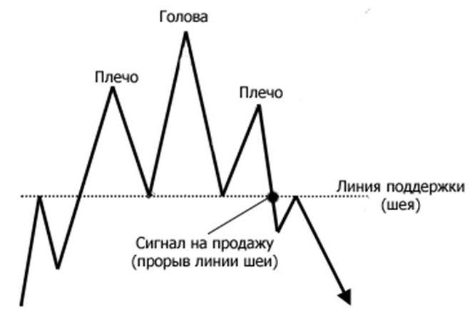 golova-i-plechi3